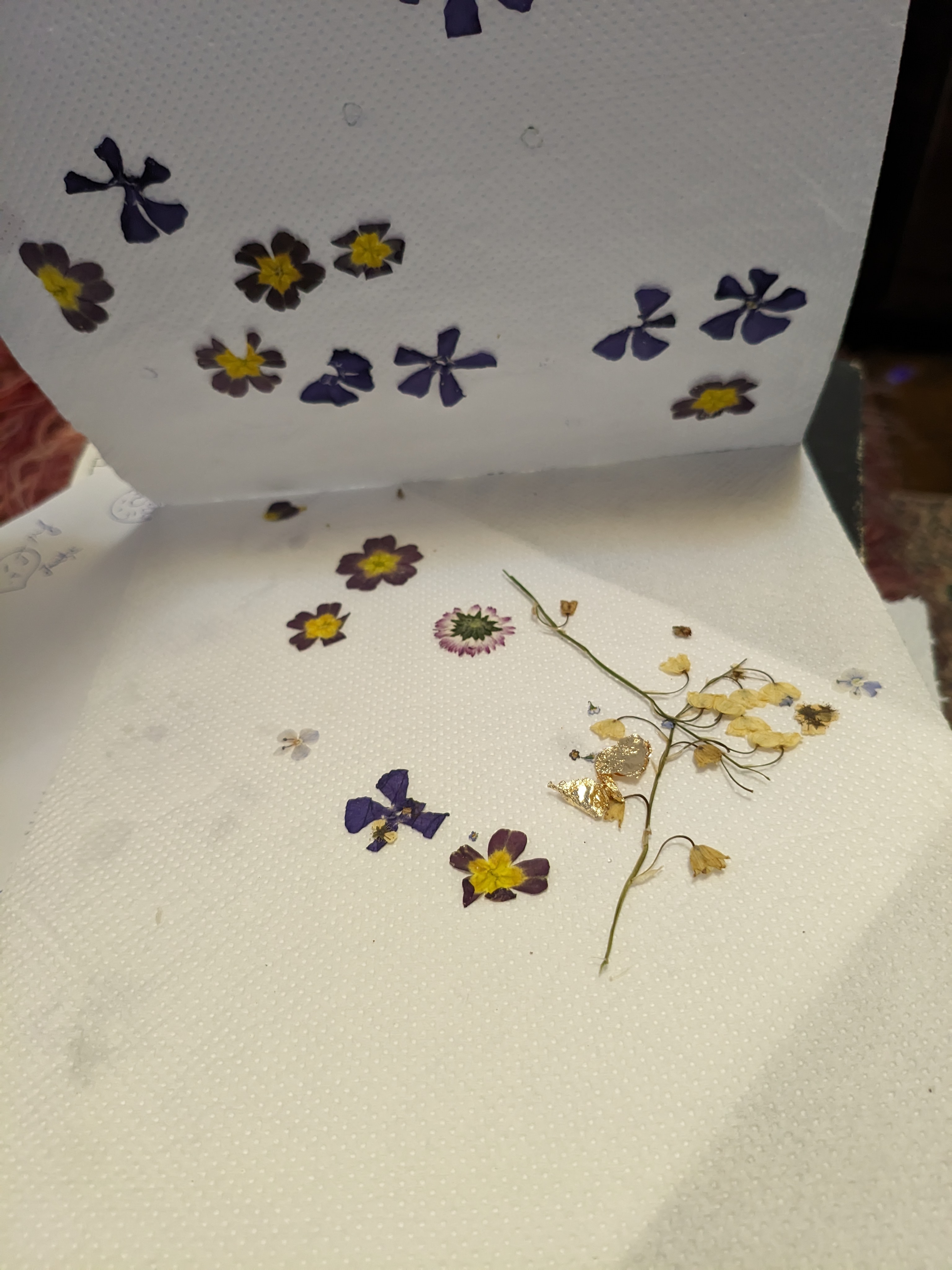 A descriptive alt text for the image